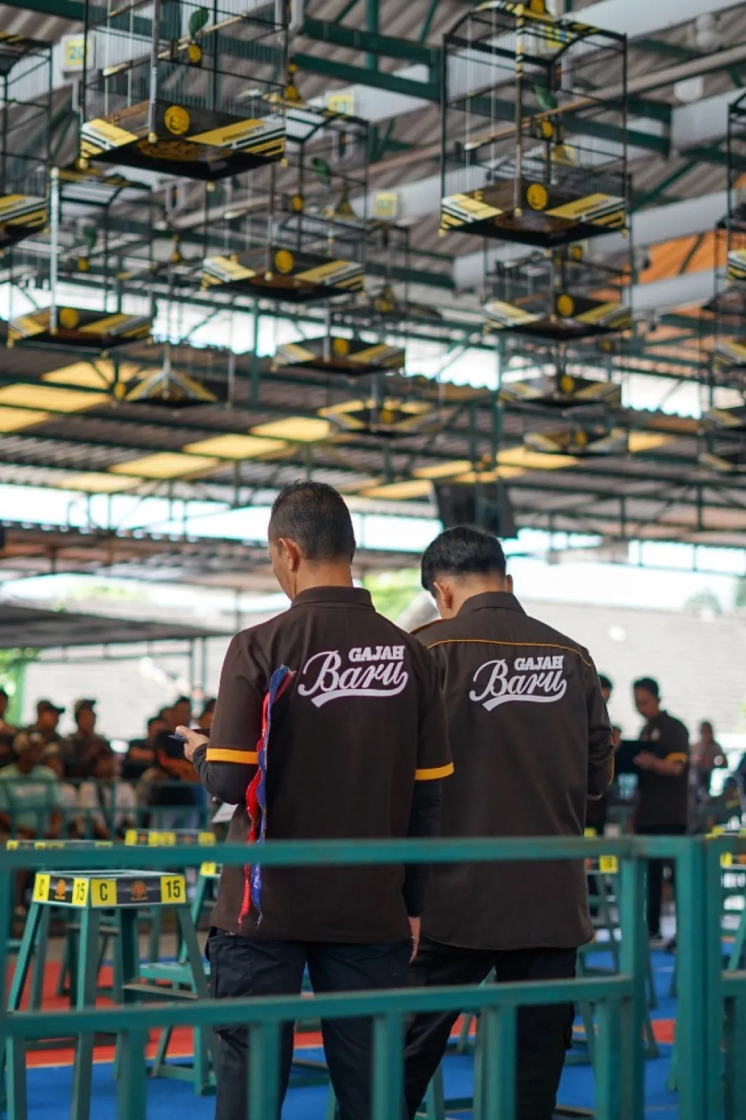 Team members at a company outdoor event