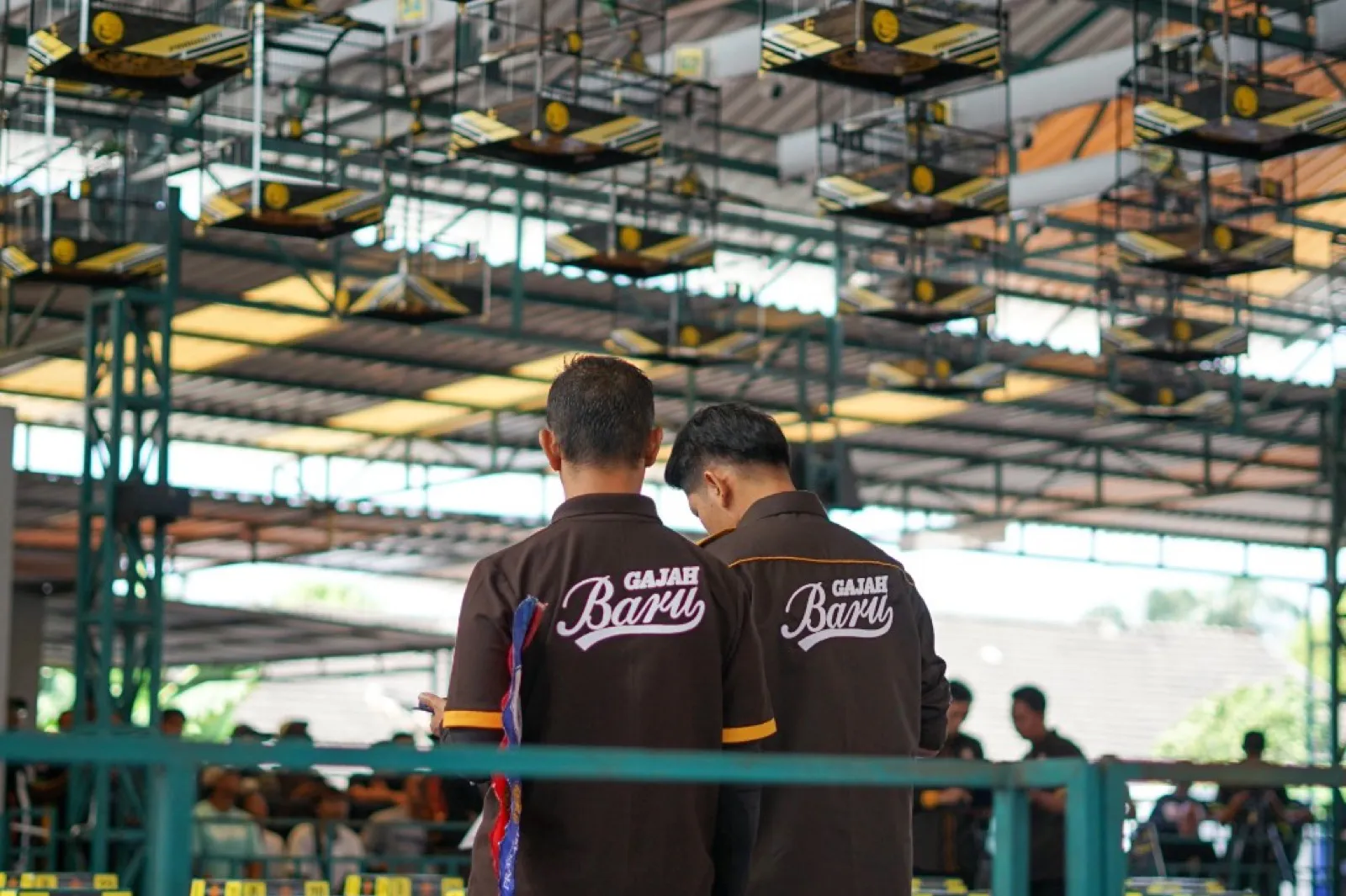 Staff smiling together at a company outing