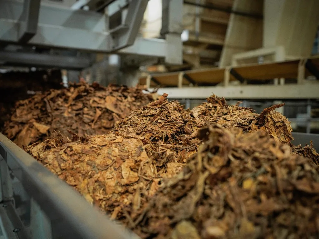 Wooden bowls of dried tobacco leaf