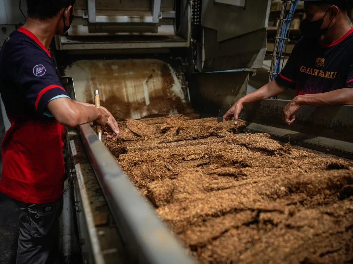 Workers blending shredded tobacco